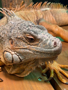 アニタッチみなとみらいに投稿された画像（2023/12/3）