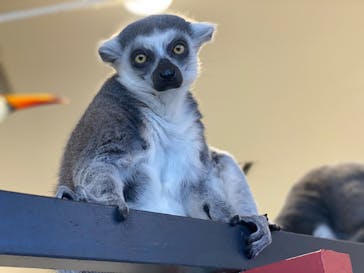 アニタッチみなとみらいに投稿された画像（2023/12/3）