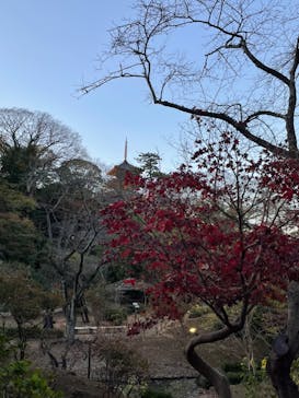 三溪園に投稿された画像（2023/12/3）