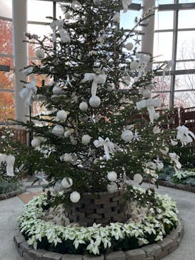 安城産業文化公園デンパークに投稿された画像（2023/12/3）