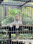 よこはま動物園ズーラシアに投稿された画像（2023/12/3）