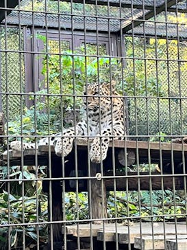 よこはま動物園ズーラシアに投稿された画像（2023/12/3）