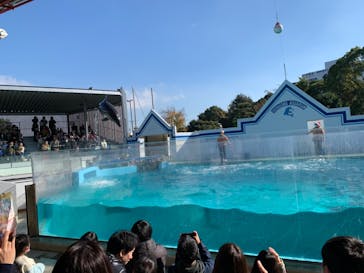 しながわ水族館に投稿された画像（2023/12/3）