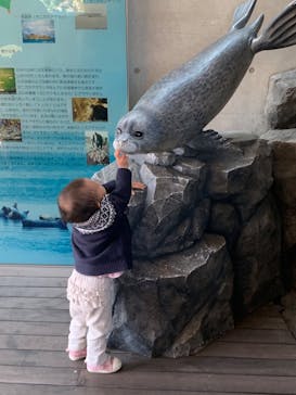 しながわ水族館に投稿された画像（2023/12/3）