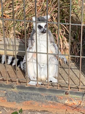 日立市かみね動物園に投稿された画像（2023/12/3）