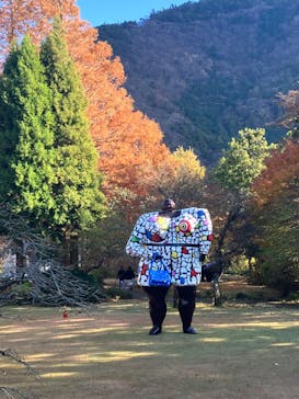 彫刻の森美術館に投稿された画像（2023/12/3）