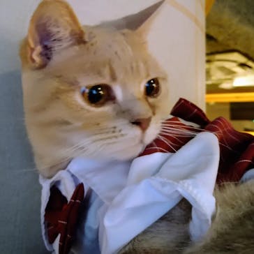 アソビュー！ポイントに投稿された画像（2023/12/3）