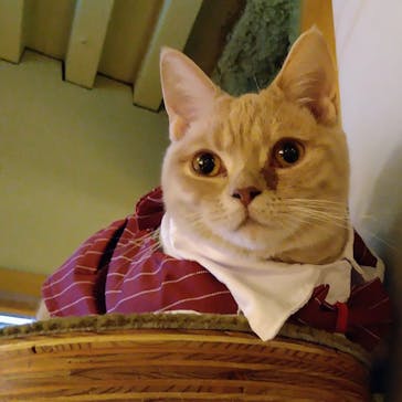 アソビュー！ポイントに投稿された画像（2023/12/3）