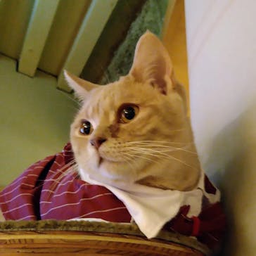 アソビュー！ポイントに投稿された画像（2023/12/3）