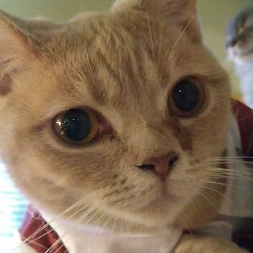 アソビュー！ポイントに投稿された画像（2023/12/3）