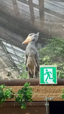 神戸どうぶつ王国に投稿された画像（2023/12/3）