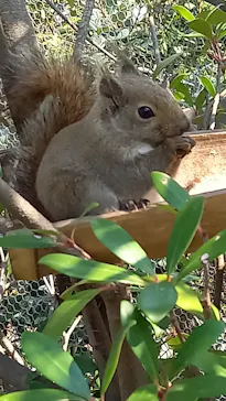 神戸どうぶつ王国に投稿された画像（2023/12/3）