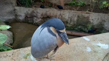 神戸どうぶつ王国に投稿された画像（2023/12/3）