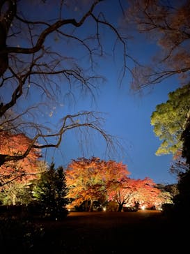 六義園に投稿された画像（2023/12/3）