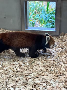 名古屋市東山動植物園に投稿された画像（2023/12/3）