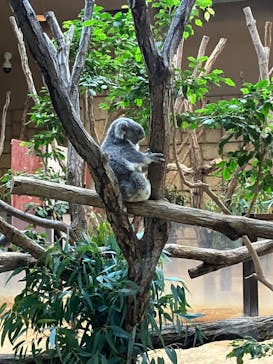 名古屋市東山動植物園に投稿された画像（2023/12/3）