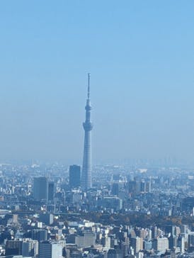 サンシャイン60展望台に投稿された画像（2023/12/3）