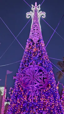 ひらかたパークに投稿された画像（2023/12/3）