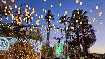 ひらかたパークに投稿された画像（2023/12/3）