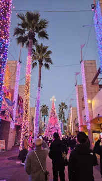 ひらかたパークに投稿された画像（2023/12/3）