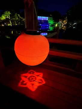 NAKEDヨルマイリ 2025-26 平安神宮に投稿された画像（2023/12/3）