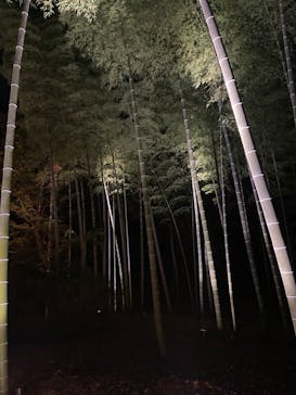 六義園に投稿された画像（2023/12/3）