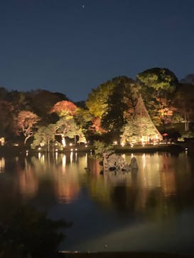 六義園に投稿された画像（2023/12/3）