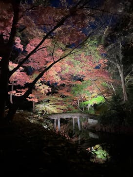 六義園に投稿された画像（2023/12/3）