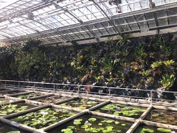 熱川バナナワニ園に投稿された画像（2023/12/3）