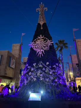 ひらかたパークに投稿された画像（2023/12/3）