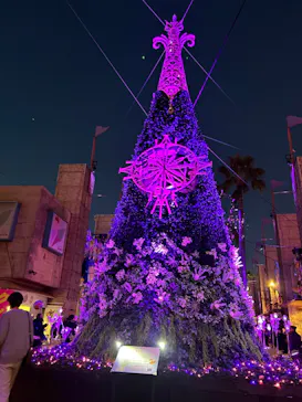 ひらかたパークに投稿された画像（2023/12/3）