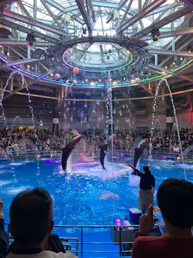 マクセル アクアパーク品川に投稿された画像（2023/12/3）