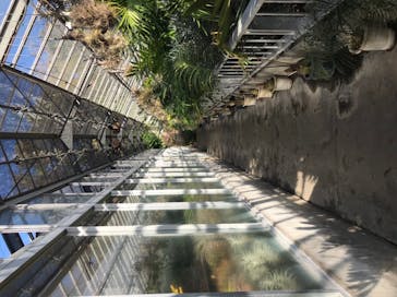 熱川バナナワニ園に投稿された画像（2023/12/3）