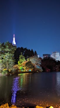 NAKED 紅葉の新宿御苑2023に投稿された画像（2023/12/3）