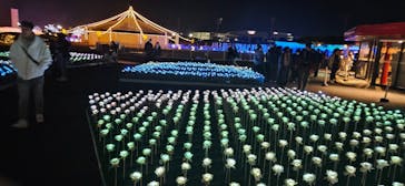 東京メガイルミに投稿された画像（2023/12/3）