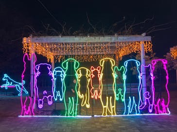 神戸イルミナージュに投稿された画像（2023/12/3）