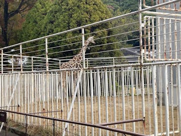 九十九島動植物園森きららに投稿された画像（2023/12/3）