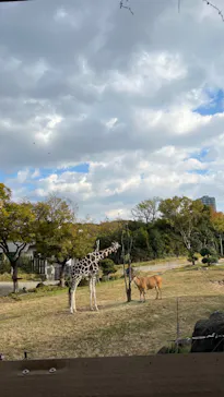 天王寺動物園に投稿された画像（2023/12/3）