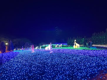 東武動物公園に投稿された画像（2023/12/3）
