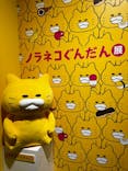 ノラネコぐんだん展に投稿された画像（2023/12/3）