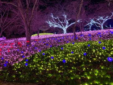 さがみ湖MORI MORIに投稿された画像（2023/12/3）