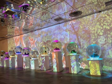 NARA KINGYO MUSEUMに投稿された画像（2023/12/3）