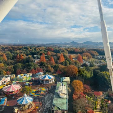 日本モンキーパークに投稿された画像（2023/12/3）