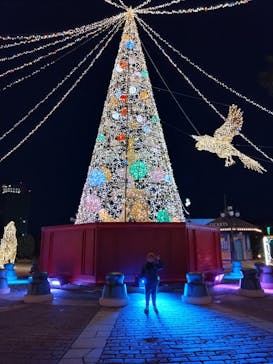 フェスタ・ルーチェに投稿された画像（2023/12/3）