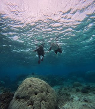 宮古島マリン GB QUESTに投稿された画像（2023/12/3）