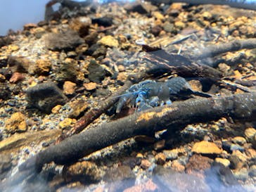 AOAO SAPPOROに投稿された画像（2023/12/3）