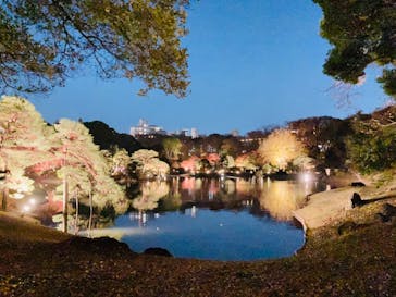六義園に投稿された画像（2023/12/3）