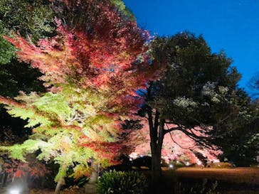 六義園に投稿された画像（2023/12/3）