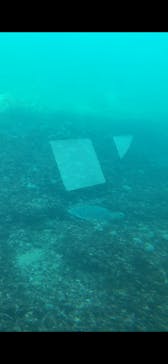 串本海中公園水族館に投稿された画像（2023/12/3）