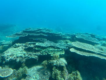 串本海中公園水族館に投稿された画像（2023/12/3）